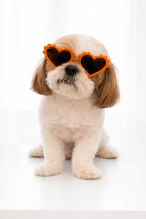 Bright Orange Heart-Shaped Dog Sunglasses – Cute UV Protection Shades