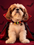 Spooky Paws Edit - Halloween Collection