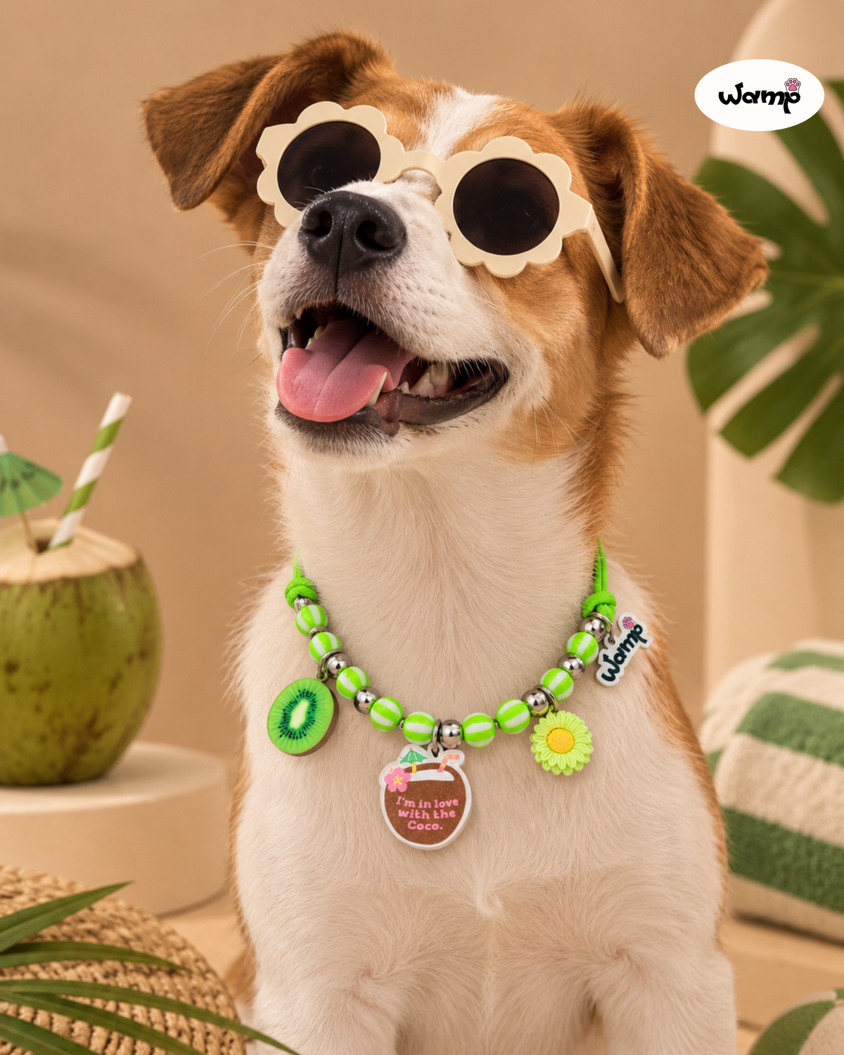 The Pawsonality Collection