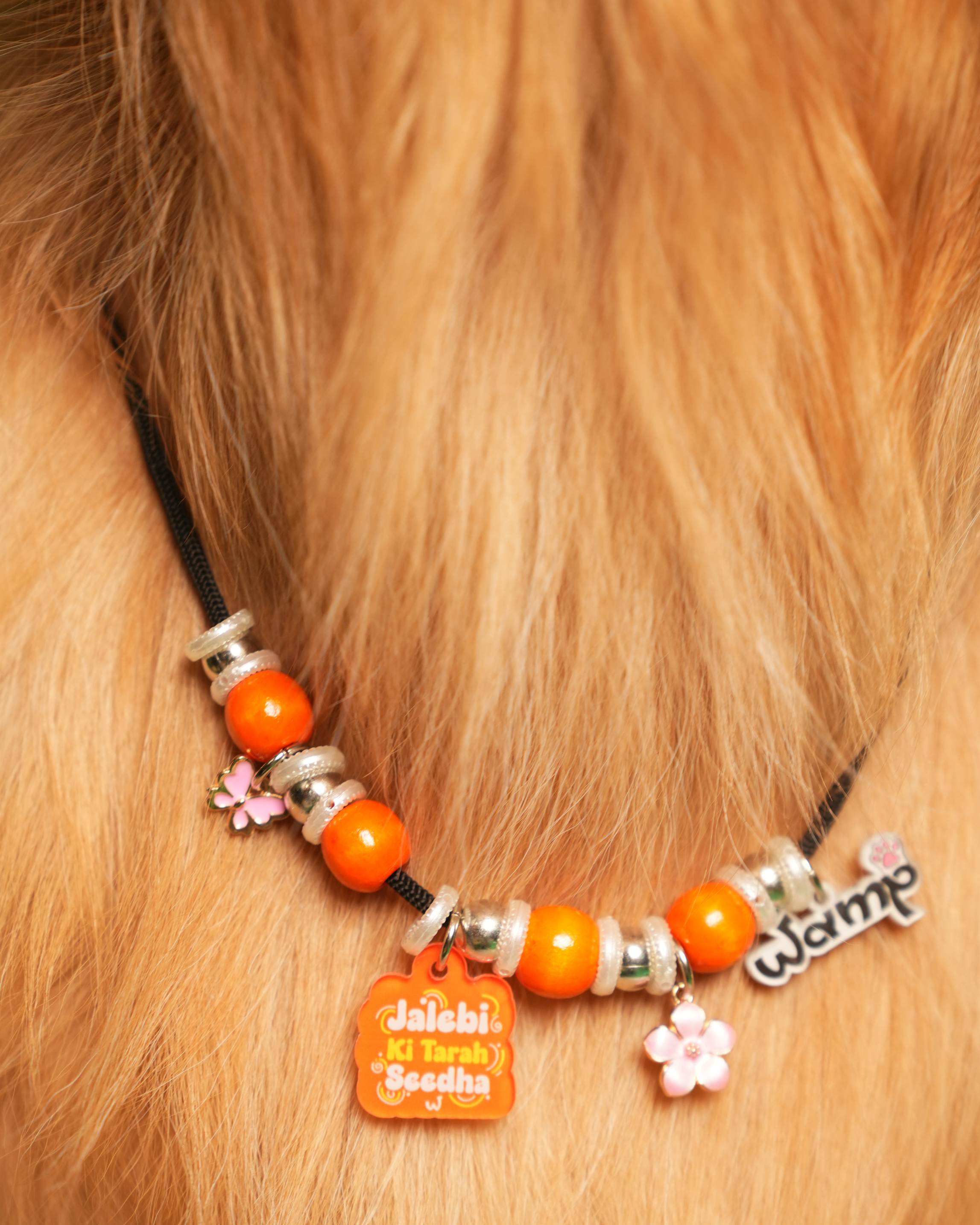Jalebi Ki Tarah Seedha Pet Neck Rakhi | Personalized Quirky Pet Dog & Cat Rakhi Necklace