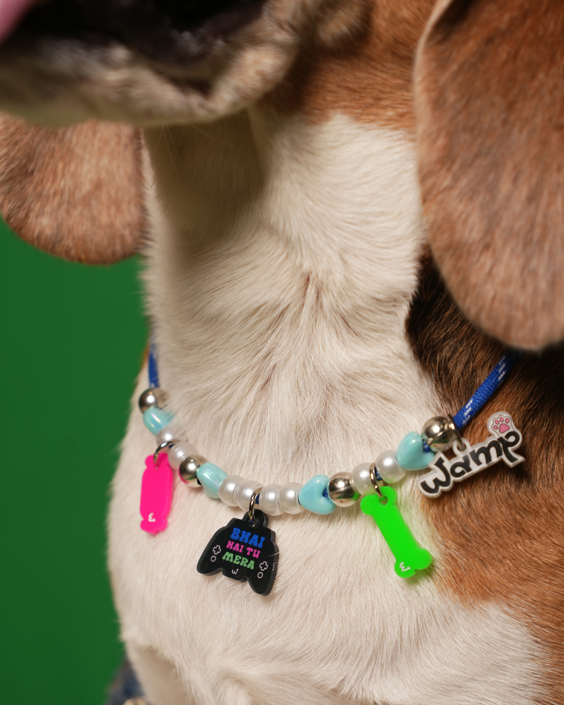 Bhai Hai Tu Mera Pet Neck Rakhi | Cute Pet Dog Rakhi