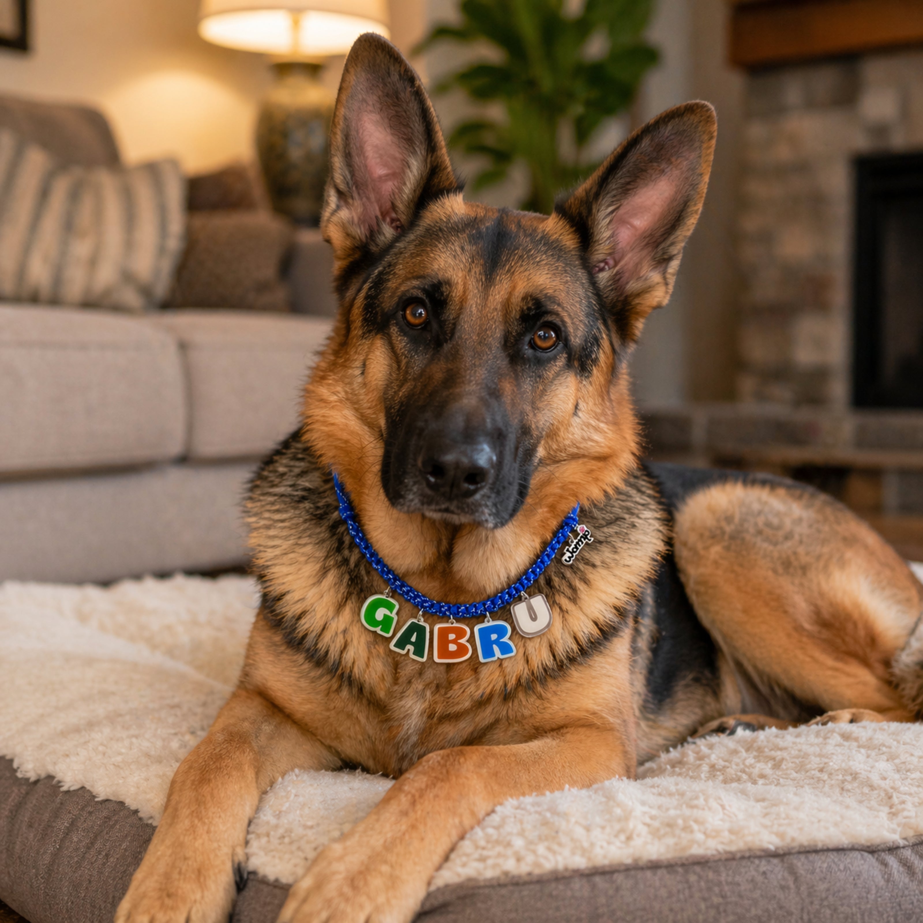 WAMP Paw-sonalised Name Necklace