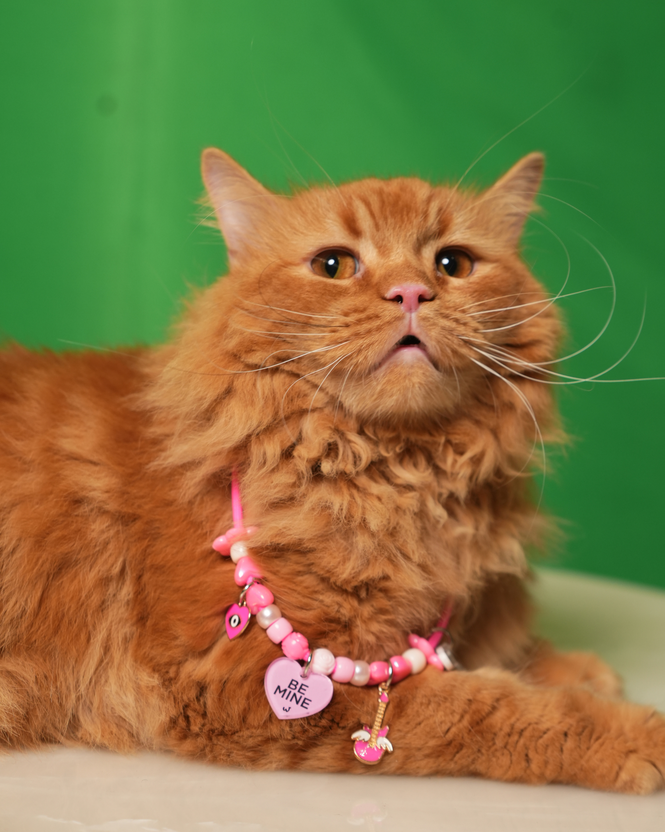 Be Mine Pink Pet Neck Rakhi | Personalized Pet Dog & Cat Rakhi Necklace