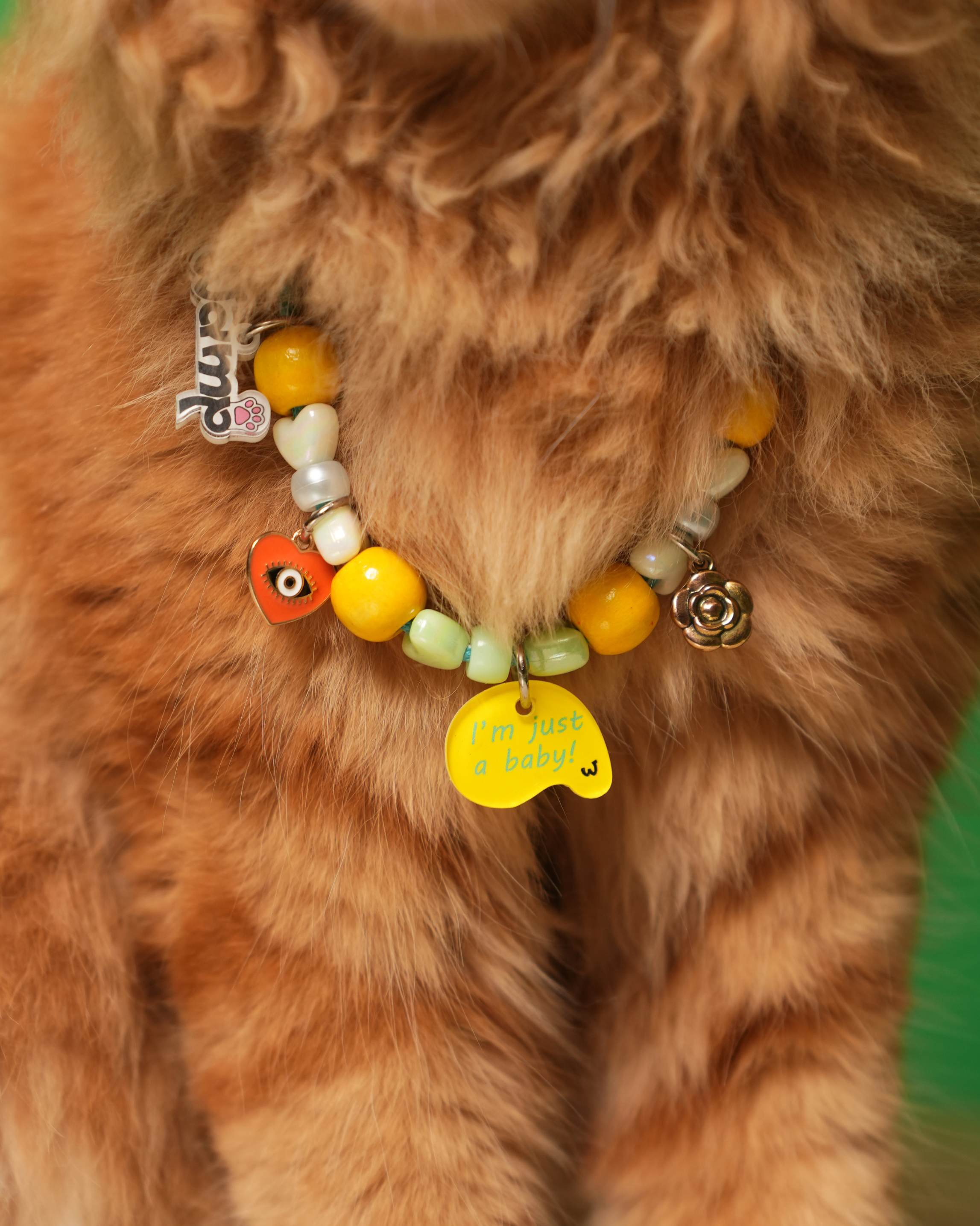 I'm Just A Baby Yellow Pet Neck Rakhi | Adorable Pet Dog & Cat Rakhi Necklace