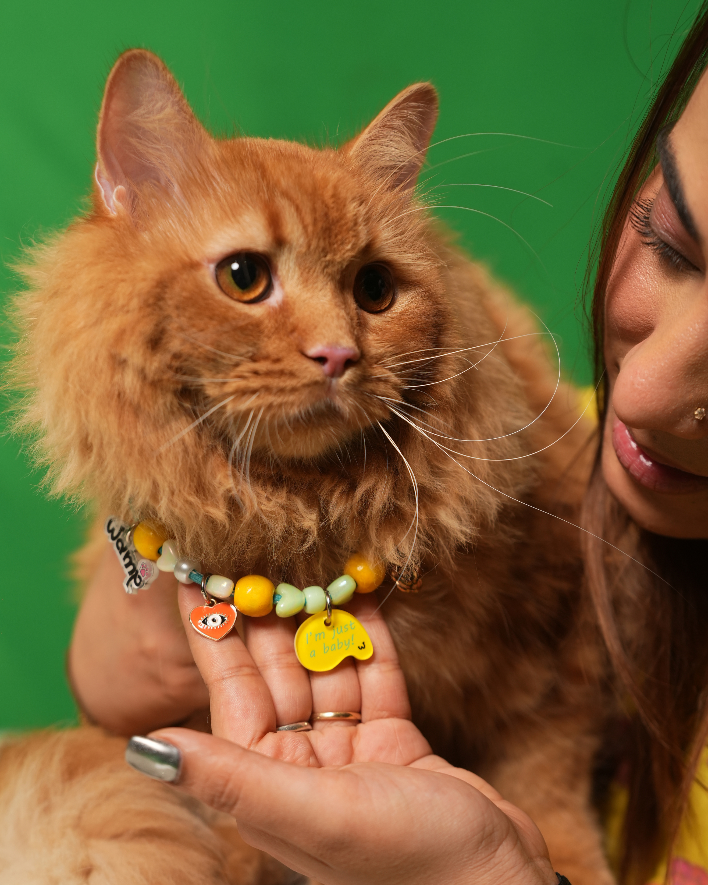 I'm Just A Baby Yellow Pet Neck Rakhi | Adorable Pet Dog & Cat Rakhi Necklace