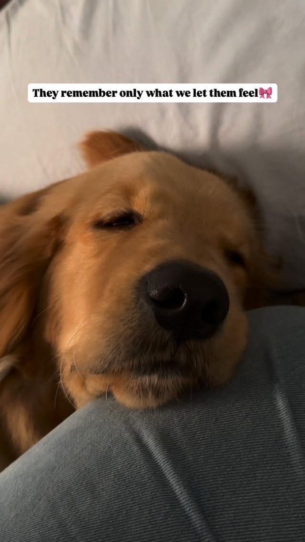 Make them feel special ✨