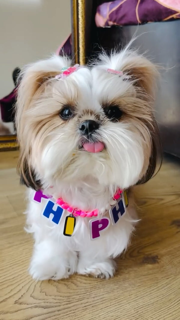 Her name. Her charm. Her moment 🐾🩷