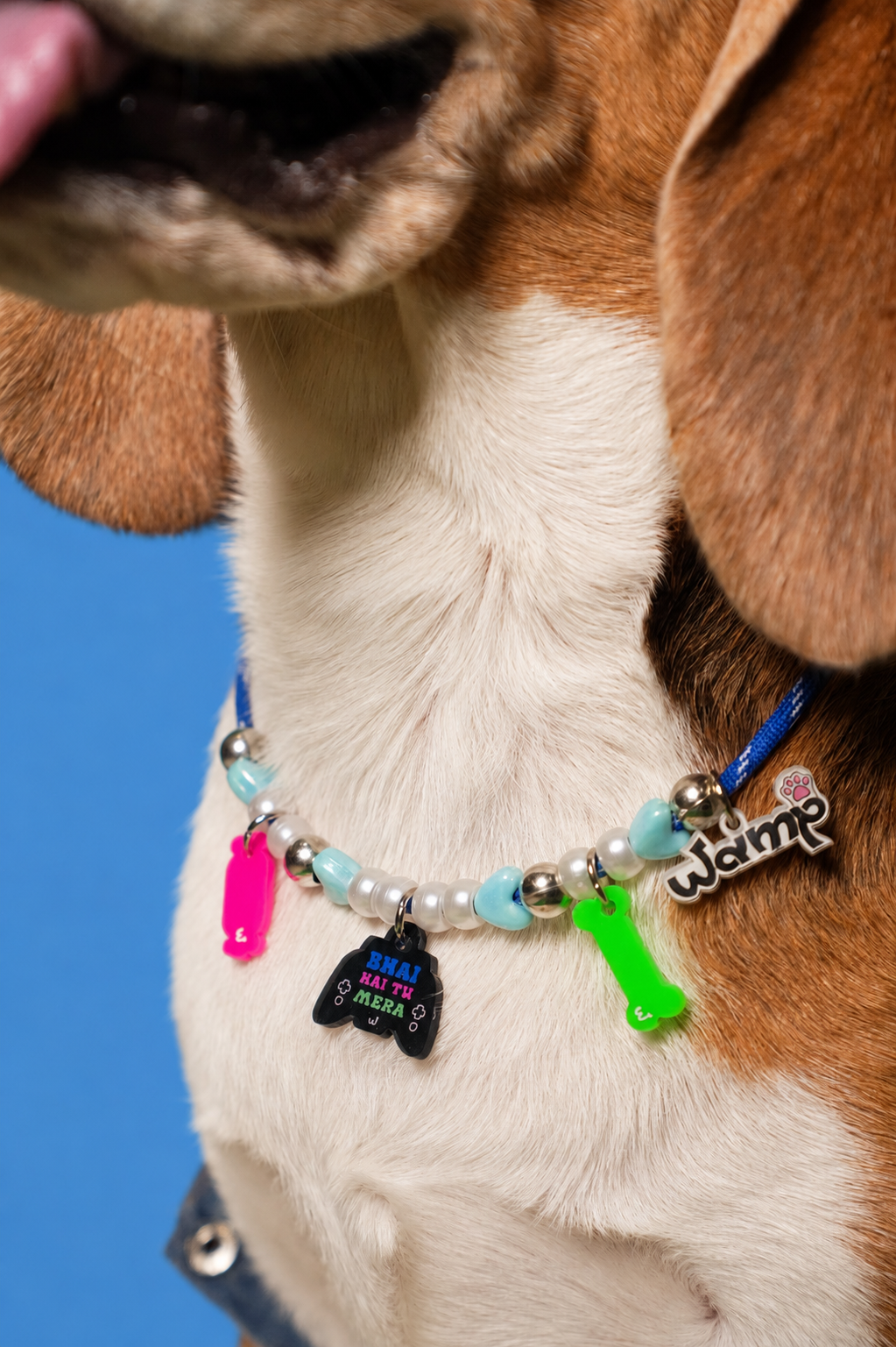 Bhai Hai Tu Mera Pet Neck Rakhi | Cute Pet Dog Rakhi