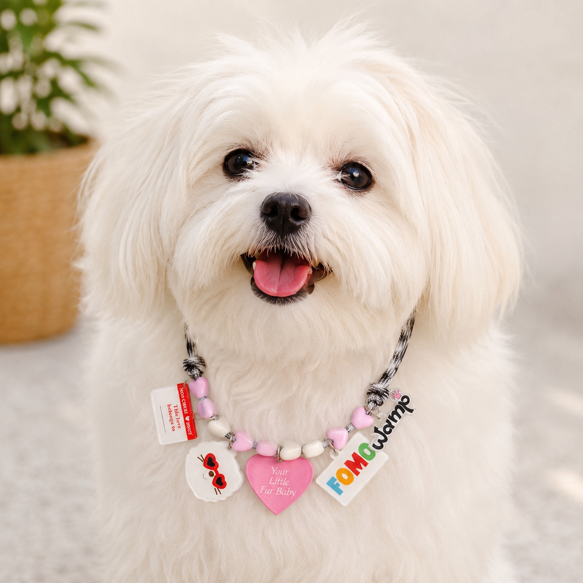 Fur Baby Love Charm Necklace