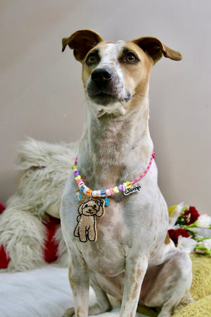 Golden Pup Glitter Necklace