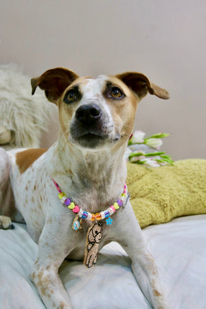 Golden Pup Glitter Necklace