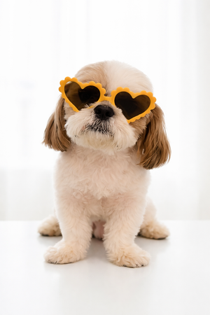 Sunny Yellow Heart-Shaped Dog Sunglasses – Cute UV Protection Shades