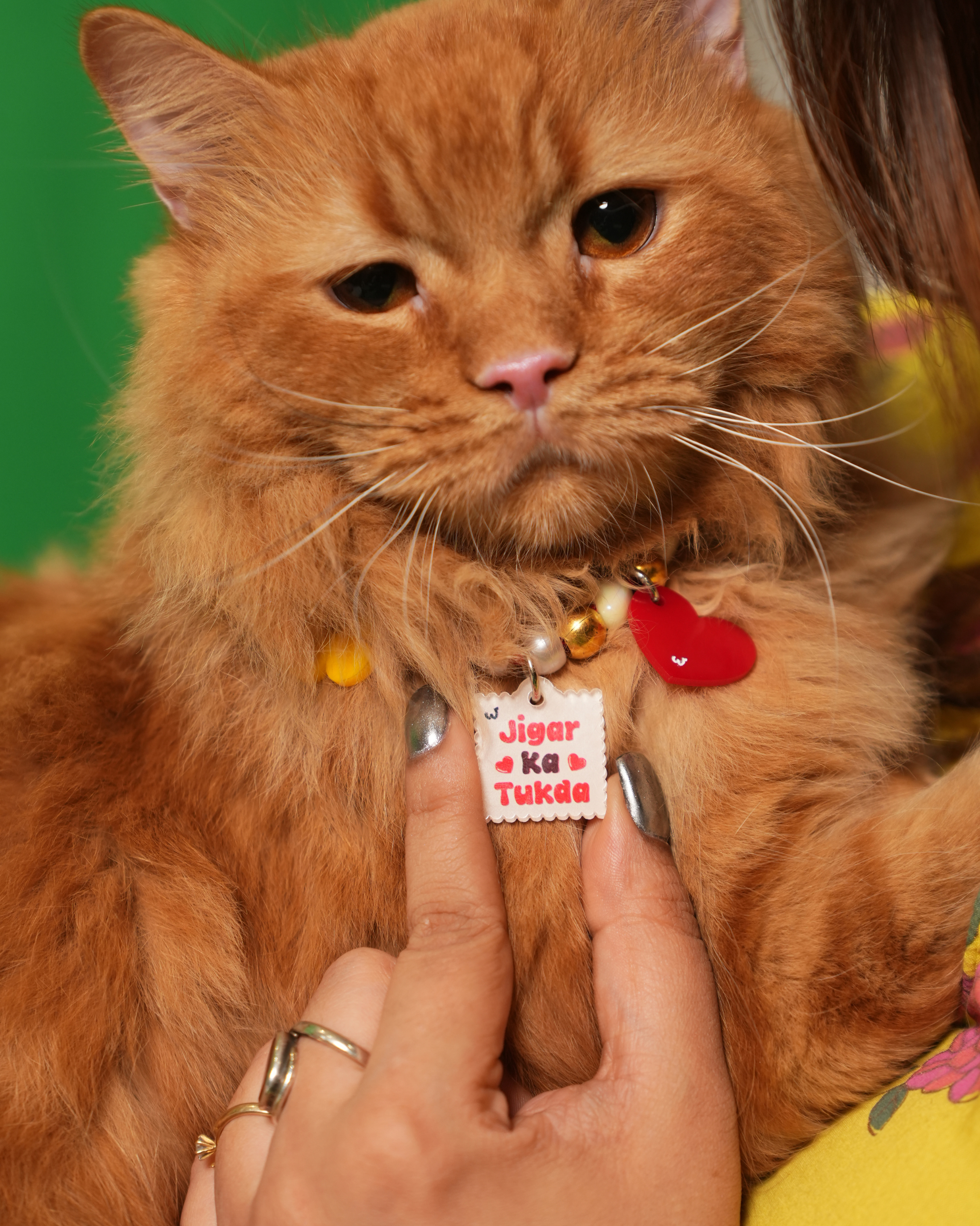 Jigar Ka Tukda Pet Neck Rakhi | Personalized Pet Dog & Cat Rakhi Necklace