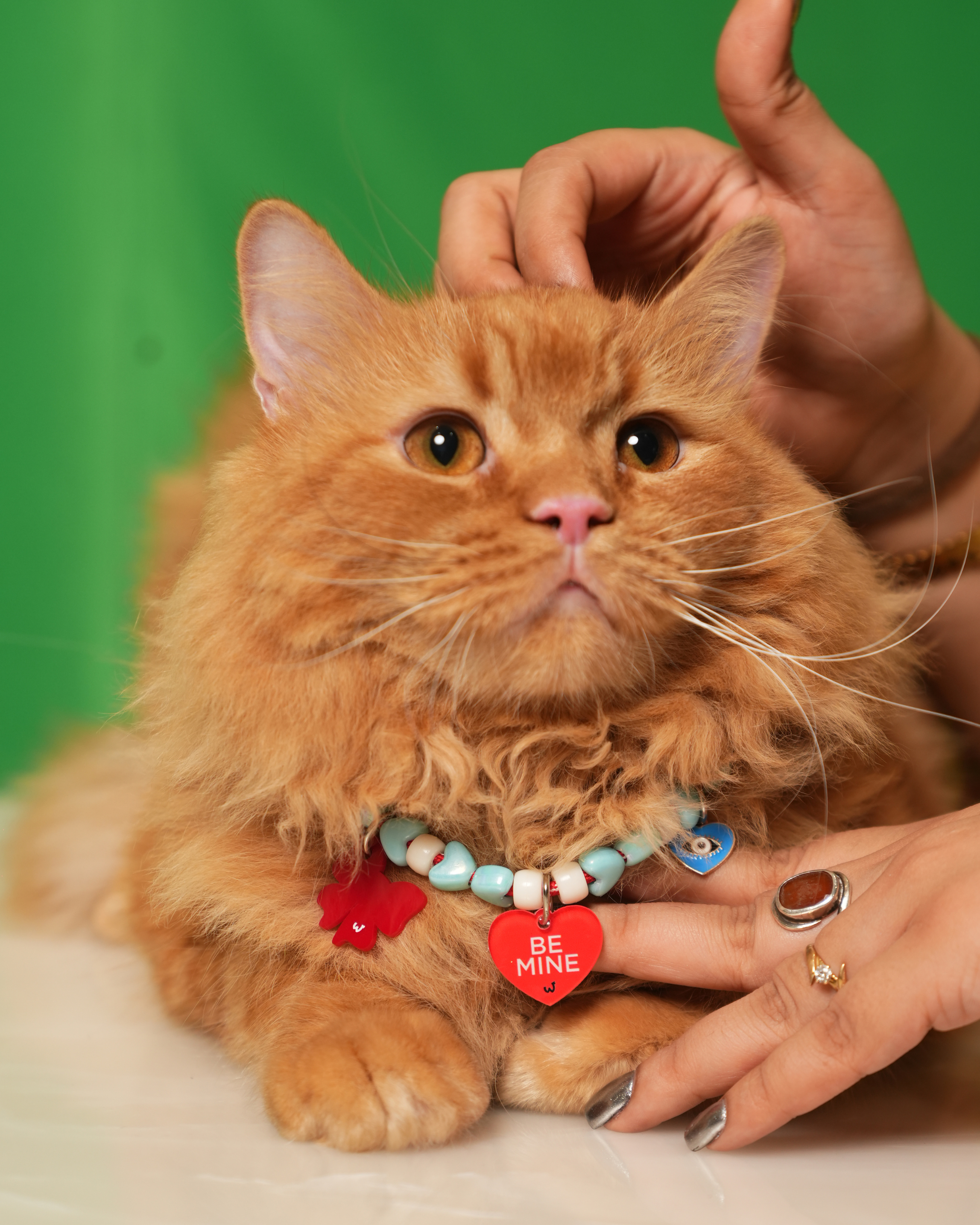 Be Mine Red Heart Pet Neck Rakhi | Personalized Pet Dog Rakhi Necklace
