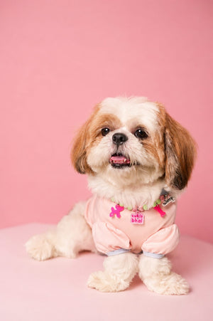 cutie bbhai pet neck rakhi for dogs