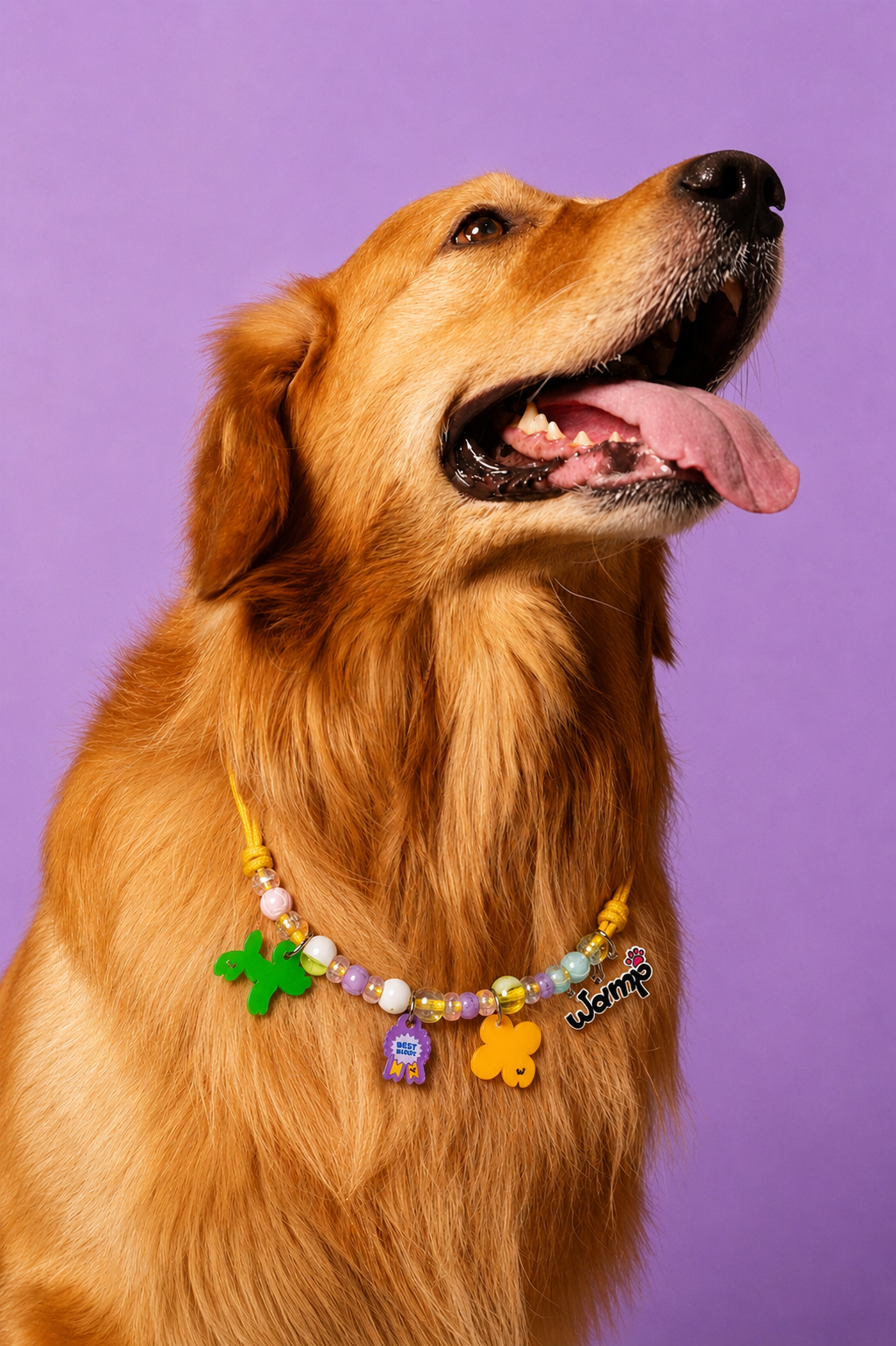 Best Buddy Pet Neck Rakhi | Stylish Pet Dog Rakhi Necklace
