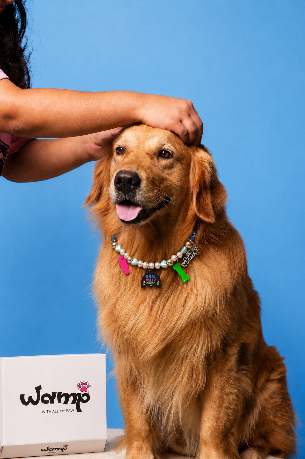 Bhai Hai Tu Mera Pet Neck Rakhi | Cute Pet Dog Rakhi