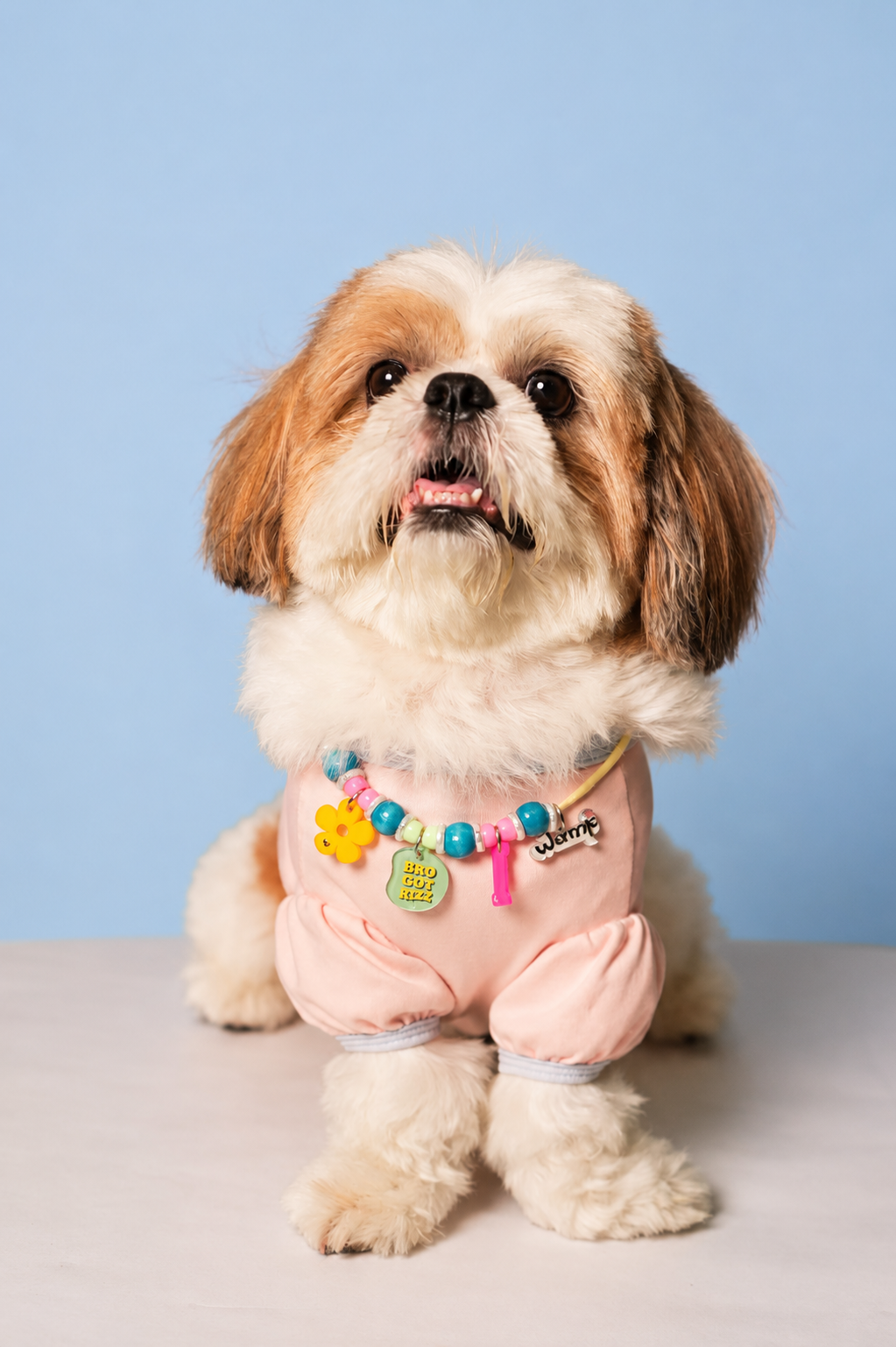 Bro Got Rizz Pet Neck Rakhi | Trendy Pet Dog & Cat Rakhi Necklace