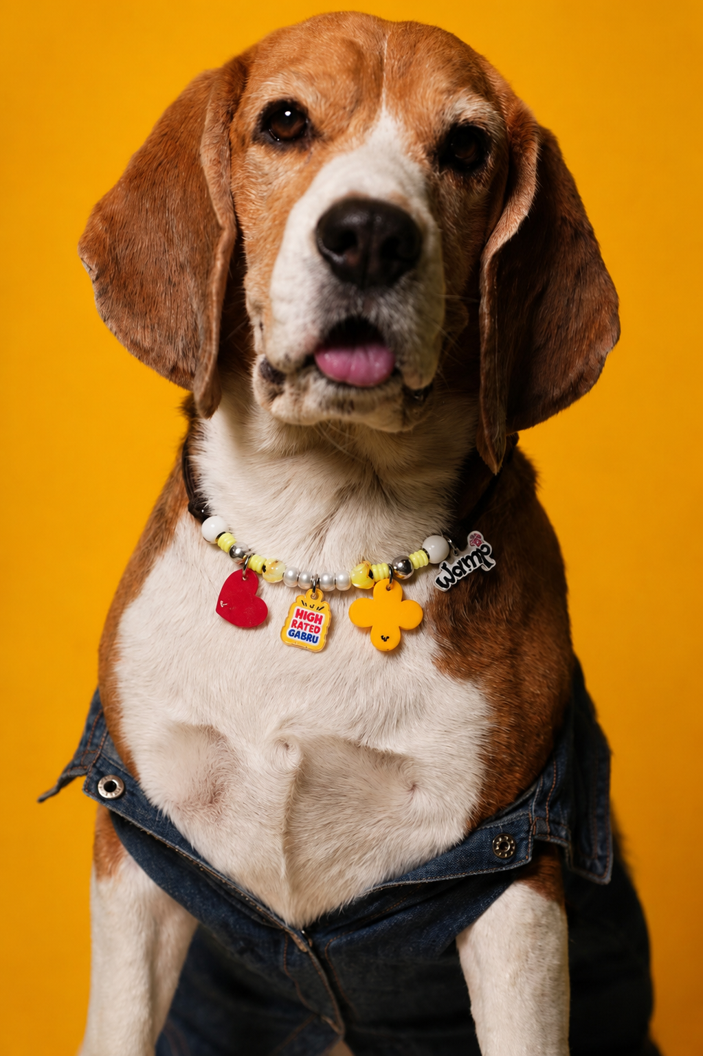 High Rated Gabru Pet Neck Rakhi | Trendy Pet Dog Rakhi Necklace