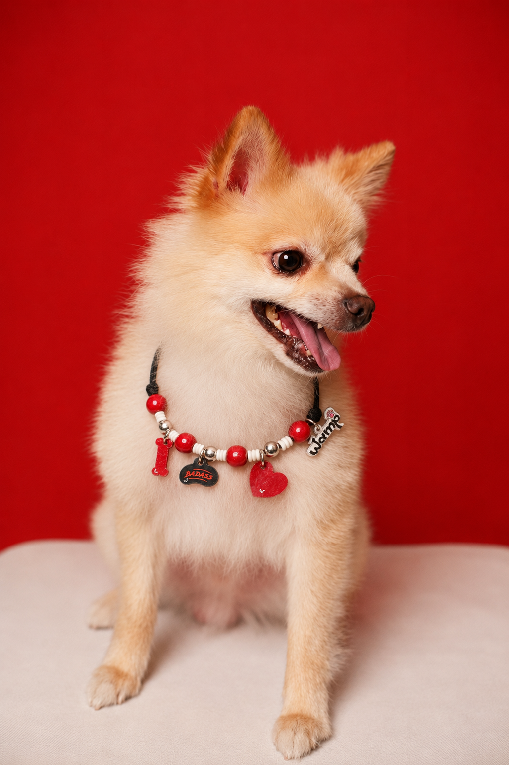 Badass Pet Neck Rakhi | Cool Pet Dog Rakhi Necklace for Dogs & Cats