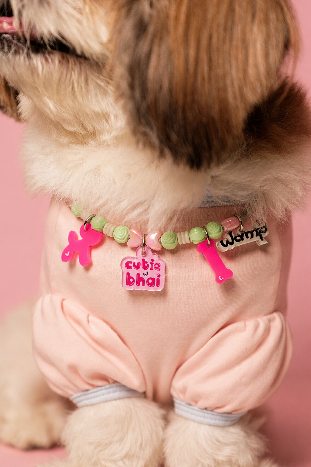 Cutie Bhai Pet Neck Rakhi | Stylish Adjustable Pet Dog Rakhi