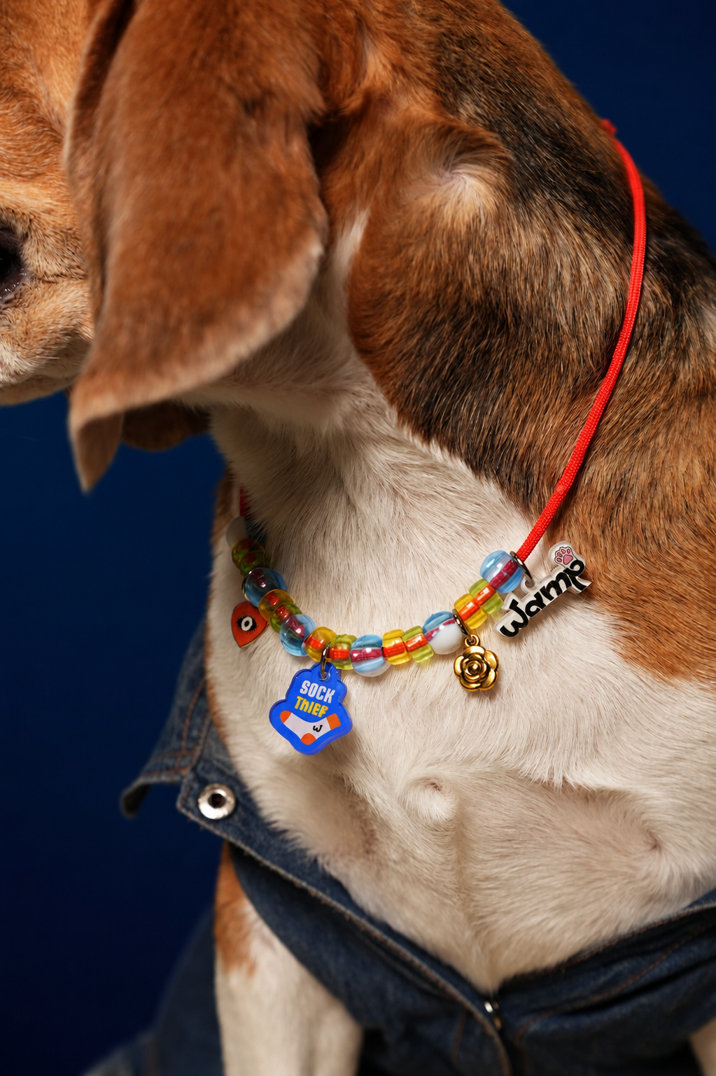 Sock Thief Pet Neck Rakhi | Funny Pet Dog & Cat Rakhi Necklace