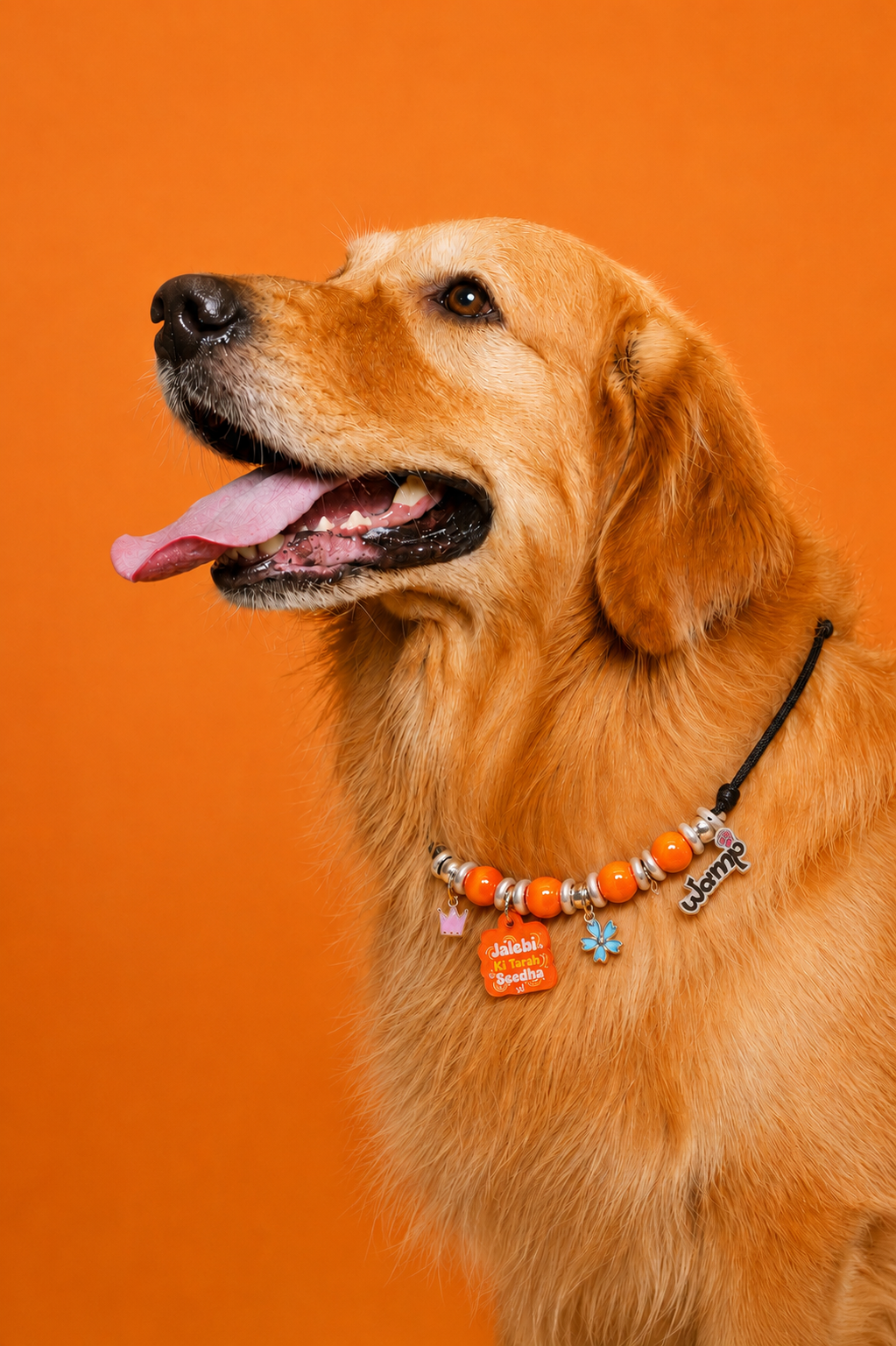 Jalebi Ki Tarah Seedha Pet Neck Rakhi | Personalized Quirky Pet Dog & Cat Rakhi Necklace
